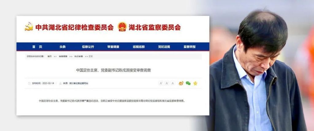成a人片亚洲日本久久
