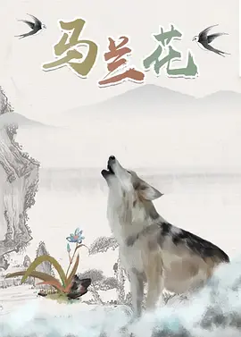 6699视频