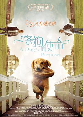 五月婷婷之婷婷