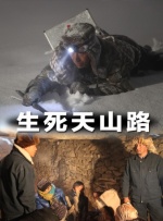 烹饪的研究员阿雅