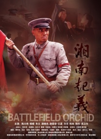 午夜秒播
