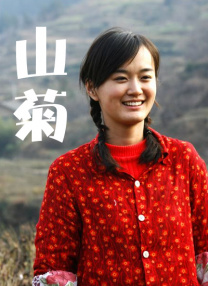 老司机在线观看