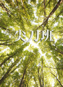 亚洲综合色区另类av