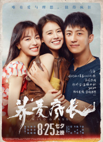 中文字幕第12页