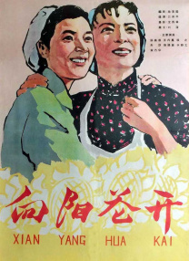 青久久